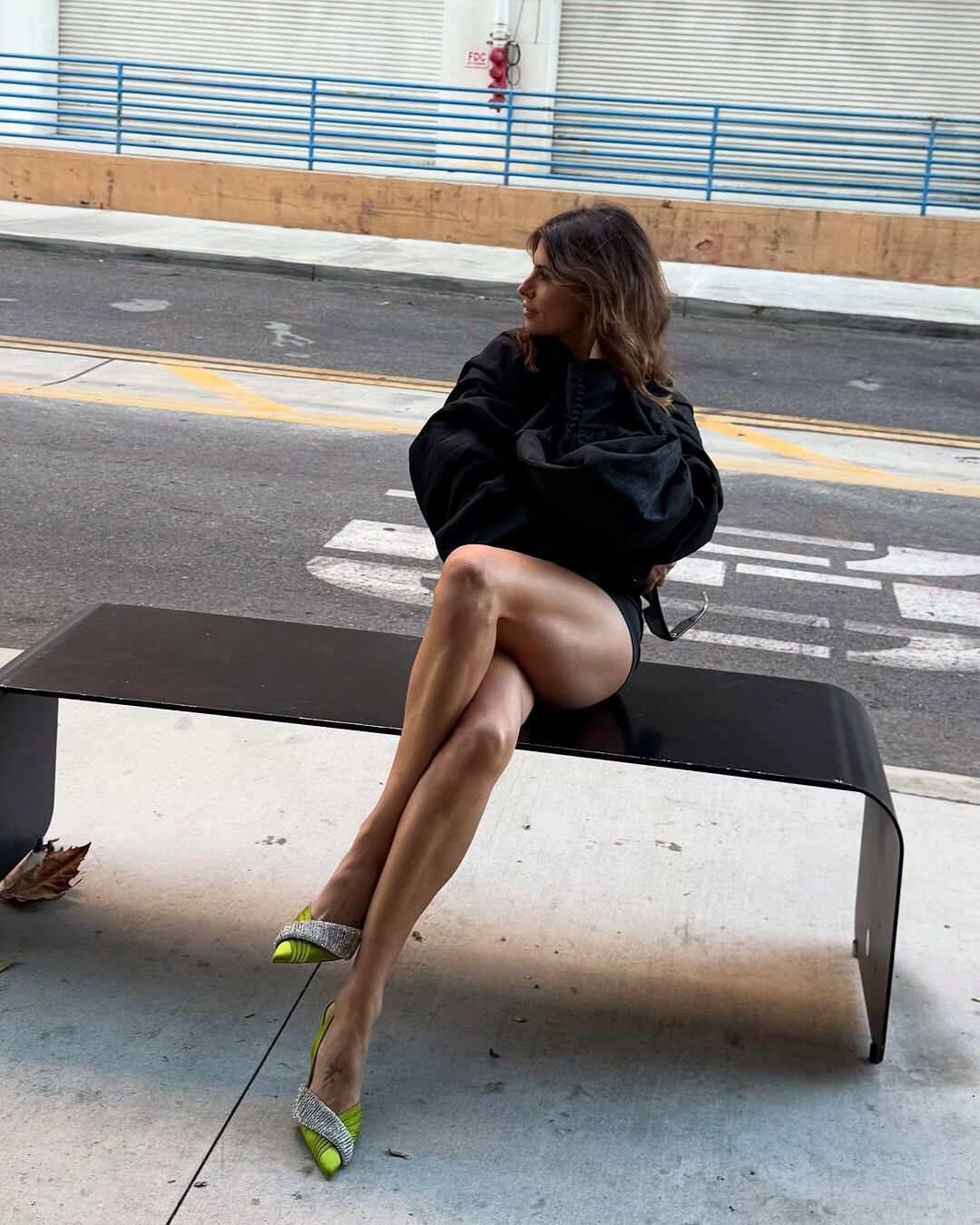 Elisabetta Canalis 