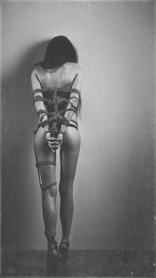 Shibari und Seilbindung