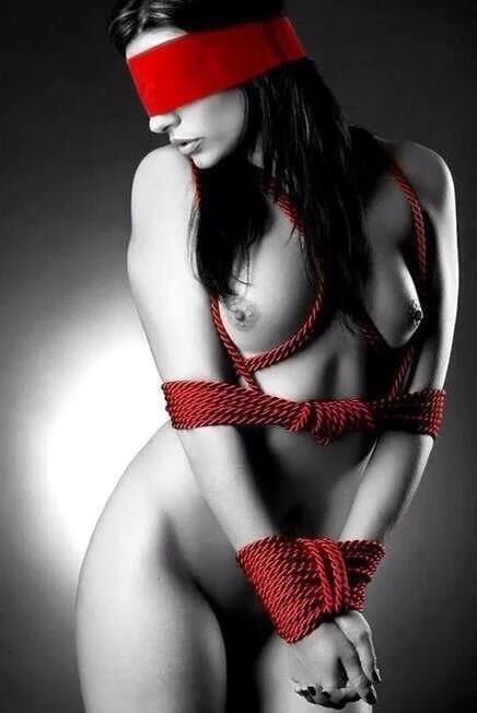 Shibari und Seilbindung