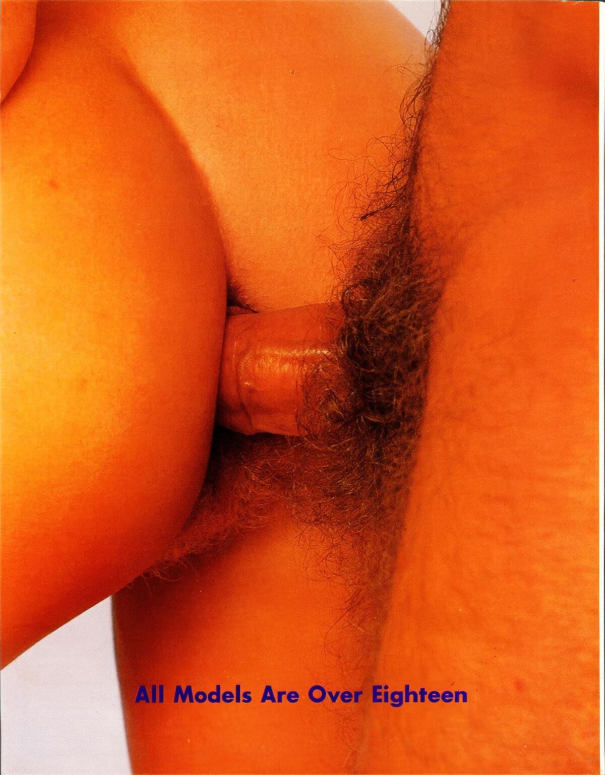 Forever Horny (s)