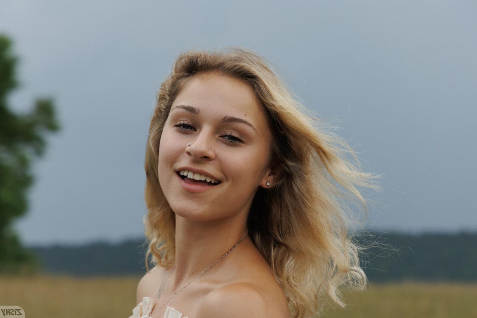 Гун дневник