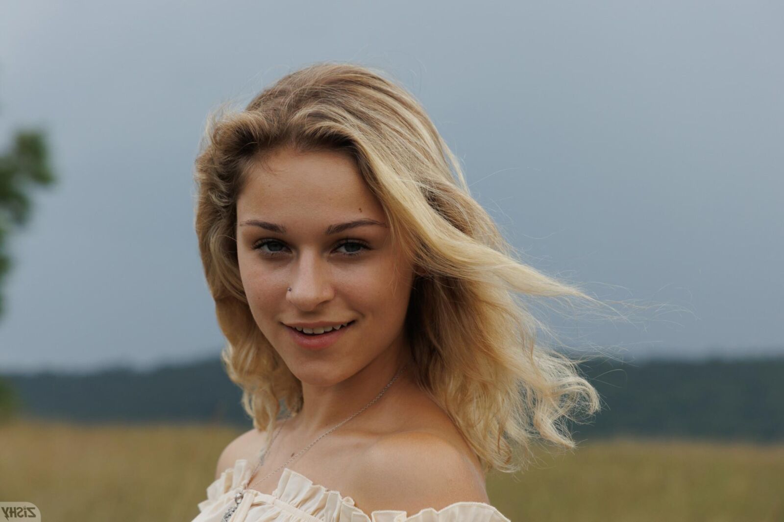 Гун дневник