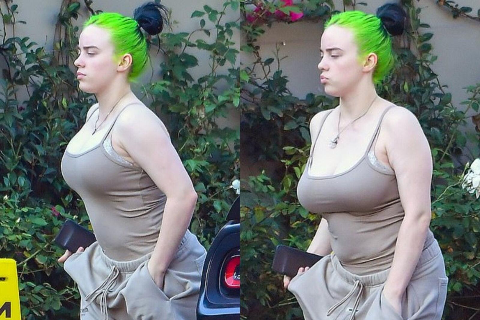Titcow Billie Eilish and Her Huge Udders