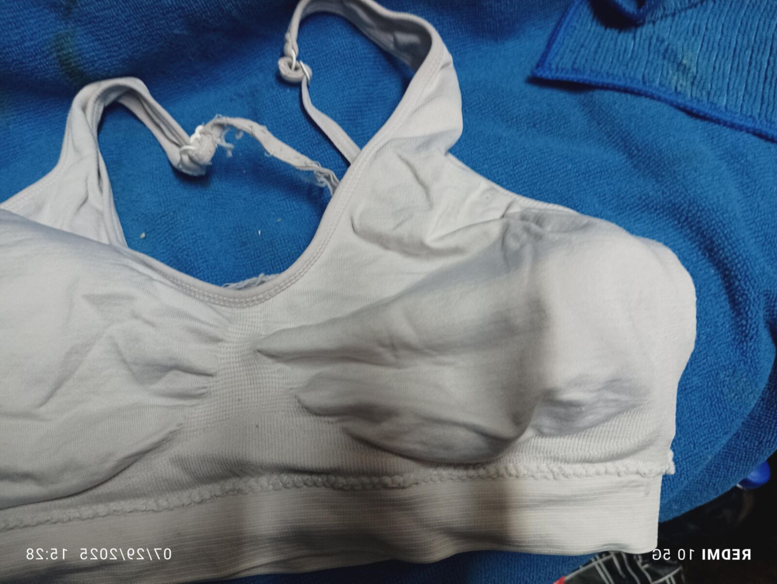 My Stepdaughters Bras Part 