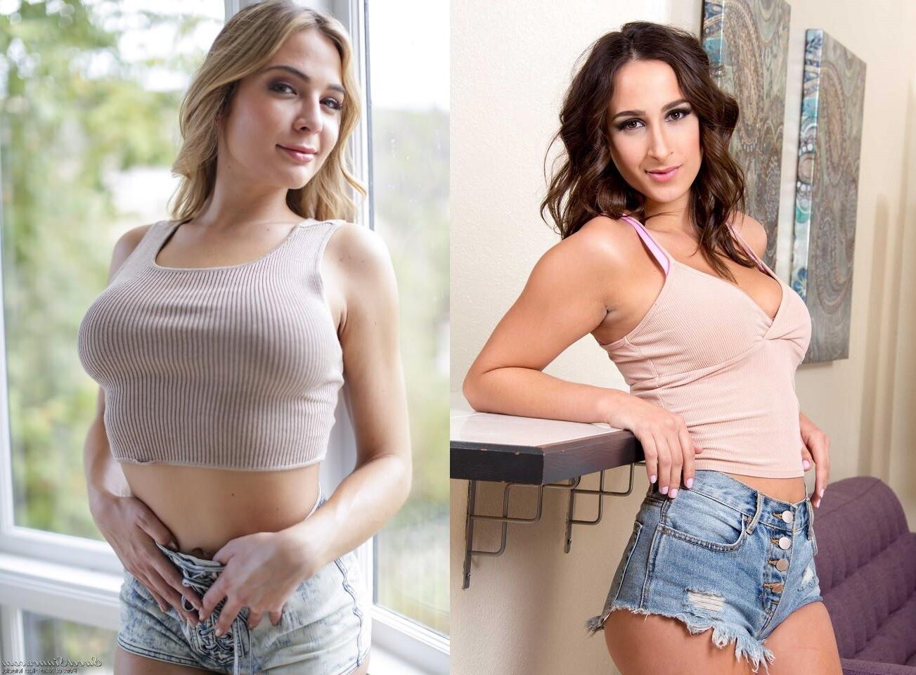 (Porn)Star Wars Ashley Adams vs Blair Williams