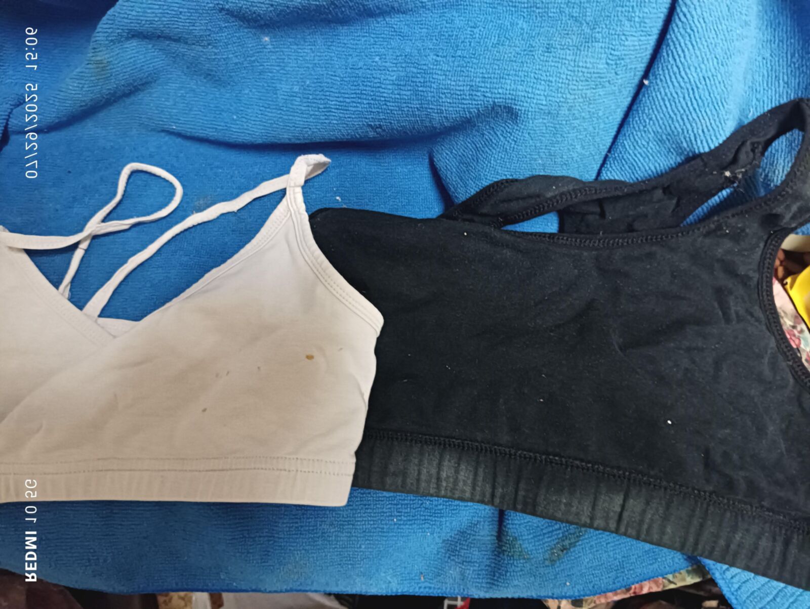 My Stepdaughters Bras Part 