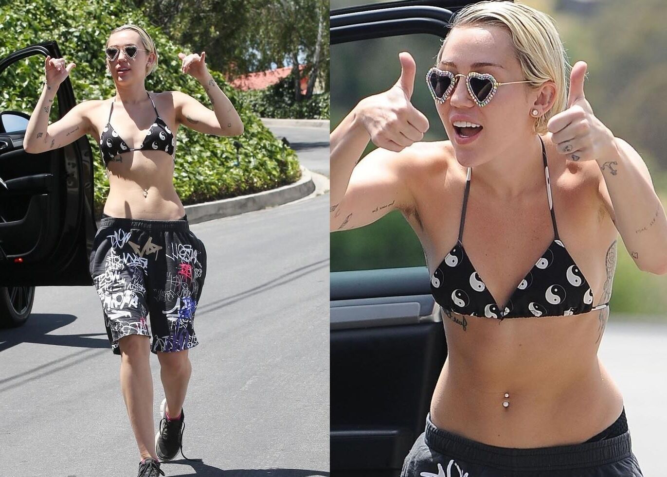 Hairy Celebrity Armpits 