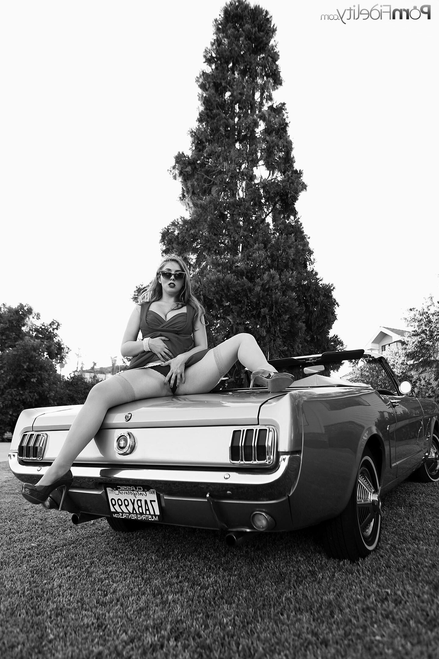 Lena Paul Collection 
