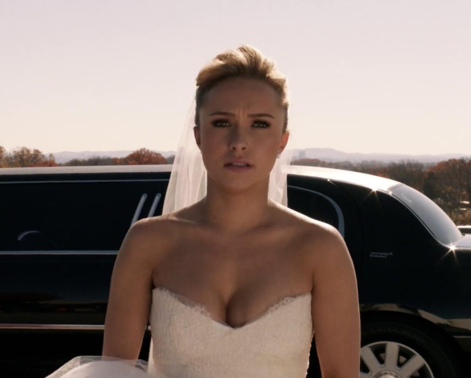 Robe de mariée Hayden Panettiere / décolleté